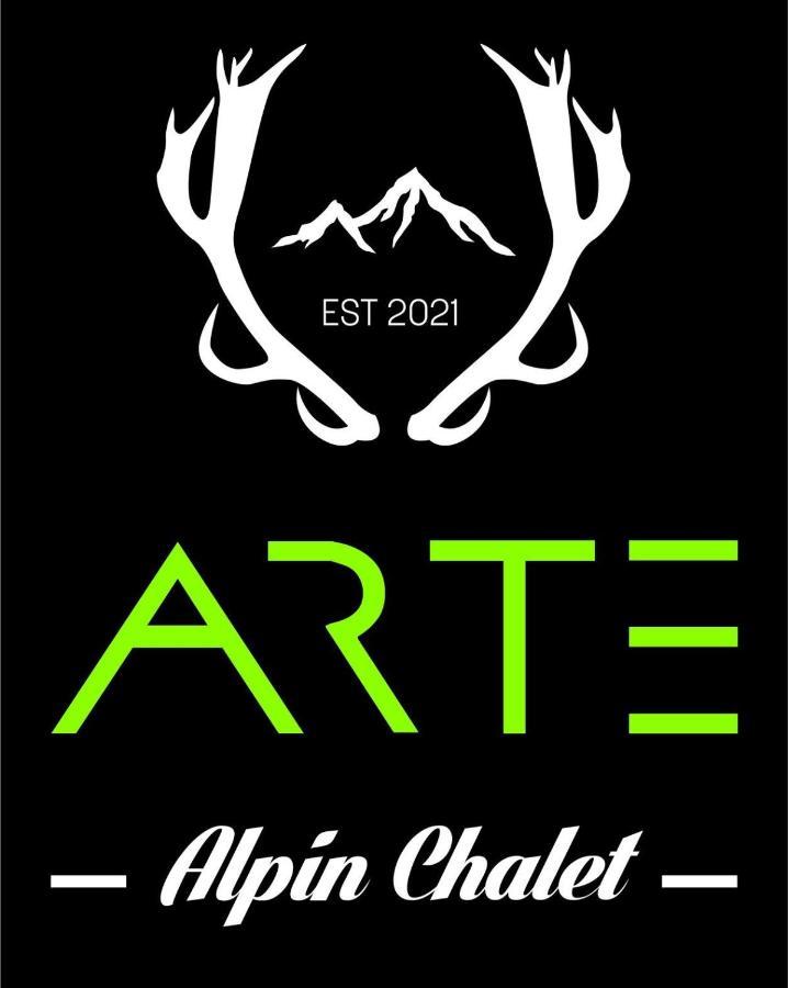 Alpin Chalet Arte 瑟尔 外观 照片